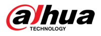 Dahua Technology